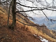 Al Pizzo Grande e al Monte Molinasco da Alino di S. Pellegrino il 16 marzo 2022-FOTOGALLERY